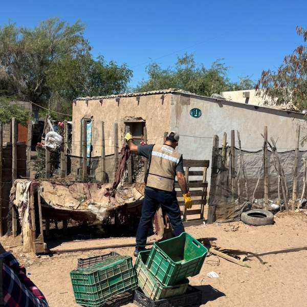 Elimina Salud Sonora más de un millón de criaderos potenciales de mosquito